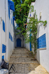 Fototapeta na wymiar narrow streets of the city in the Andalusian style in white-blue colors