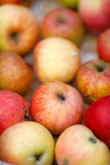Bio-Äpfel