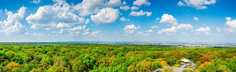 Fototapeta na wymiar Panorama view from the treetop path in Hainichen in Thuringia Germany