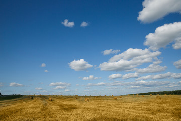 Fototapeta premium Round straw bales in russian fields on sunset