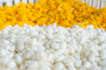 The cocoon that has been chested out can be used to produce many kinds of products.