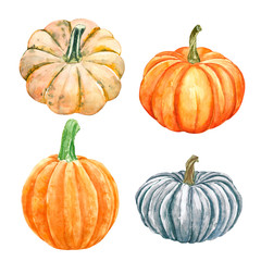 Watercolor pumpkins collection. Autumn seasonal vegetables, isolated on white background. Fresh fall gourds and winter squashes illustration. For harvest greetings, Thanksgiving day cards.