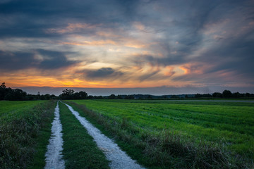 Dirt road through a green field and clouds after sunset