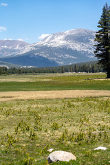 Famous view of Tuolumne Meadows in Yosemite National Park on a sunny day