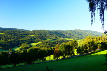 alpine Walldlandschaft