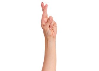 Fototapeta premium Female hand showing crossing fingers gesture, isolated on white background. Beautiful hand of woman with copy space.