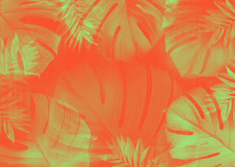 Fototapeta na wymiar Tropical background with green Monstera leaves on a coral red background