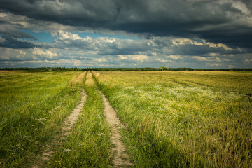 Fototapeta na wymiar Country road through fields and dark clouds on the sky