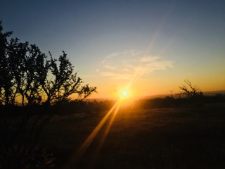 Obraz premium Amanecer en desierto