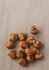 Garden Crocus Bulbs