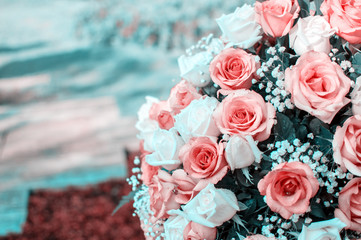 Roses with customizable color. Background for Valentine's Day.