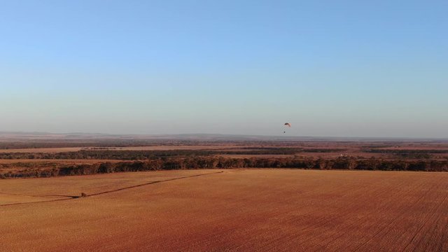 Nice shot of paramotor flying over the wide crop field