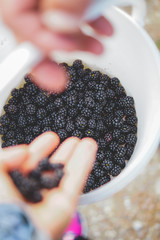 Bucket of blackberry