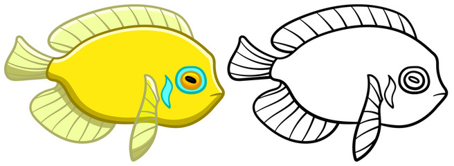 Yellow Centropyge in colored and line versions