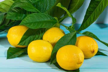 fresh lemons with a branch on blue wooden table