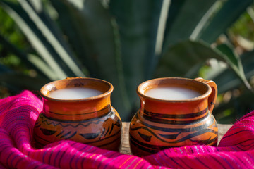 Mexican fermented beverage called "Pulque" in clay cups with agave cactus