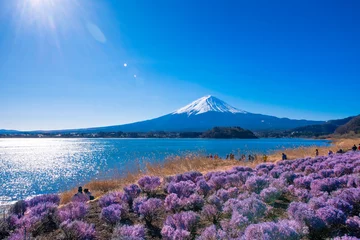Cercles muraux Mont Fuji Mountain fuji with beautiful cherry blossom at kawaguchiko, Japan..winter season