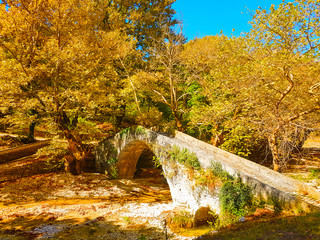 Fototapeta na wymiar bridge in river of village Vrosina in Ioannina perfecture Greece autumn season