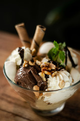 chocolate and mint vanilla ice cream sundae dessert in bowl