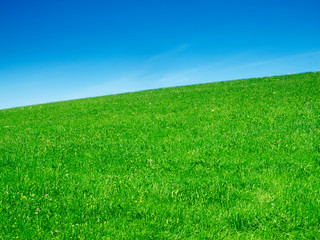 Grassland with blue sky hilly