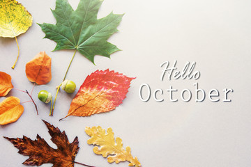 Hello October card, Fall composition from leaf. vintage forest filter
