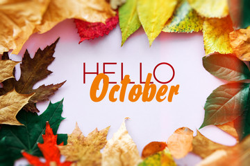 Hello October card, Fall composition from leaf. vintage forest filter © RomanWhale studio