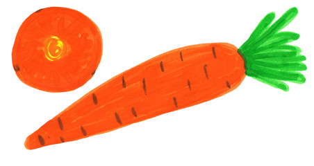 set of carrots and slices of carrots. raster illustration, felt-tip pen drawing