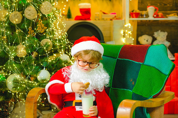 Santa holding cookie and glass of milk on Christmas tree background. Christmas food and drink for Santa. Santa child with glasses. Boy picking cookie and glass of milk at home.