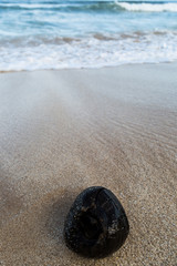 rock on the beach