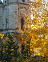 Autumn trees with yellow leaves in front of the church. Tower of Orthodox church of the 18th...