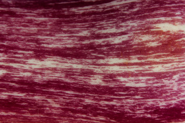 Blurred red background texture. Colorful wall background, blurred image. Burgundy color background, Abstract red textures background. eggplant pattern.