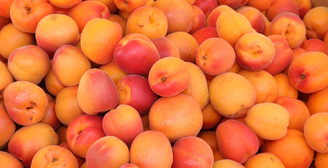 background of ripe orange apricots for sale