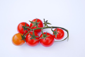 tomatoes on vine