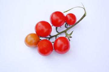 bunch of tomatoes on white background