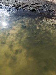 River bank. Stones and sand are visible through the water. Natural background.