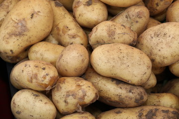 background of may potatoes