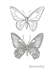 Butterflies silhouettes. Butterfly icons isolated on white background. Graphic illustration.