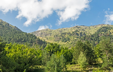 Panoramic of the Aiguestortes and Sant Maurici National Park, road of the Pond of Sant Maurici, in the province of Lleida, Catalonia, Spain