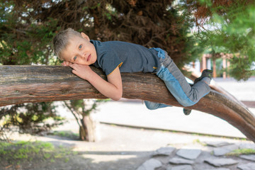 The boy lies on a thick branch of old tree like a cat