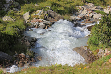 Mountain stream in the swiss alps