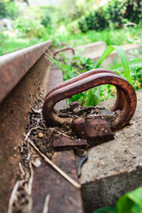 Close up photography of an old, forgotten and abandoned railway track with green plants and grass growing around, with a blurred background.