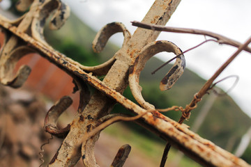 Photography of an old, abandoned and rusty fence, with a blurred background.