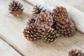 pine cone on wooden background and copy space for your design	