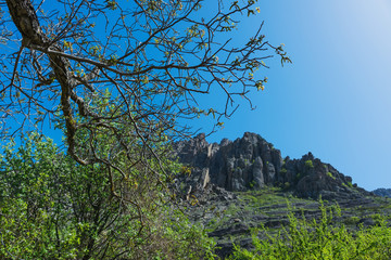 Hiking pathway- journey through roads, mystical nature