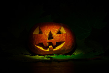 Halloween pumpkin lantern with green leaves with black background