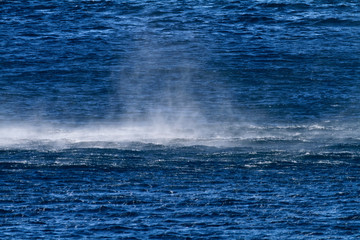 Naklejka premium Bura on Adriatic Sea near Pag, Croatia