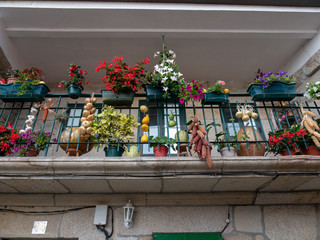 Fototapeta na wymiar flowers in a balcony in an old town