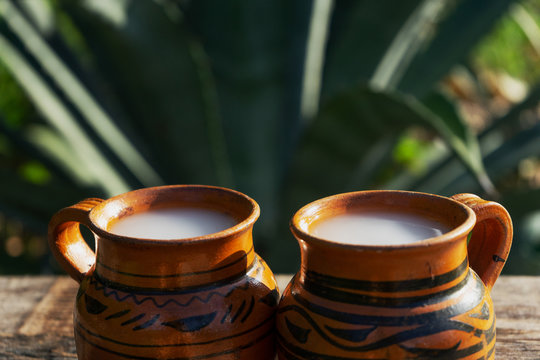 Mexican fermented beverage called "Pulque" in clay cups with agave cactus