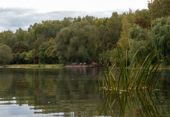 Fototapeta na wymiar Autumn at the pond.
