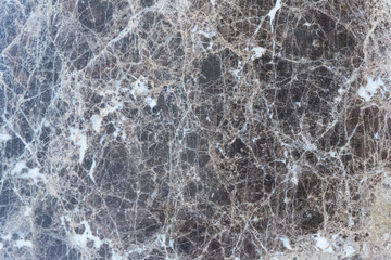Marble Floor Texture